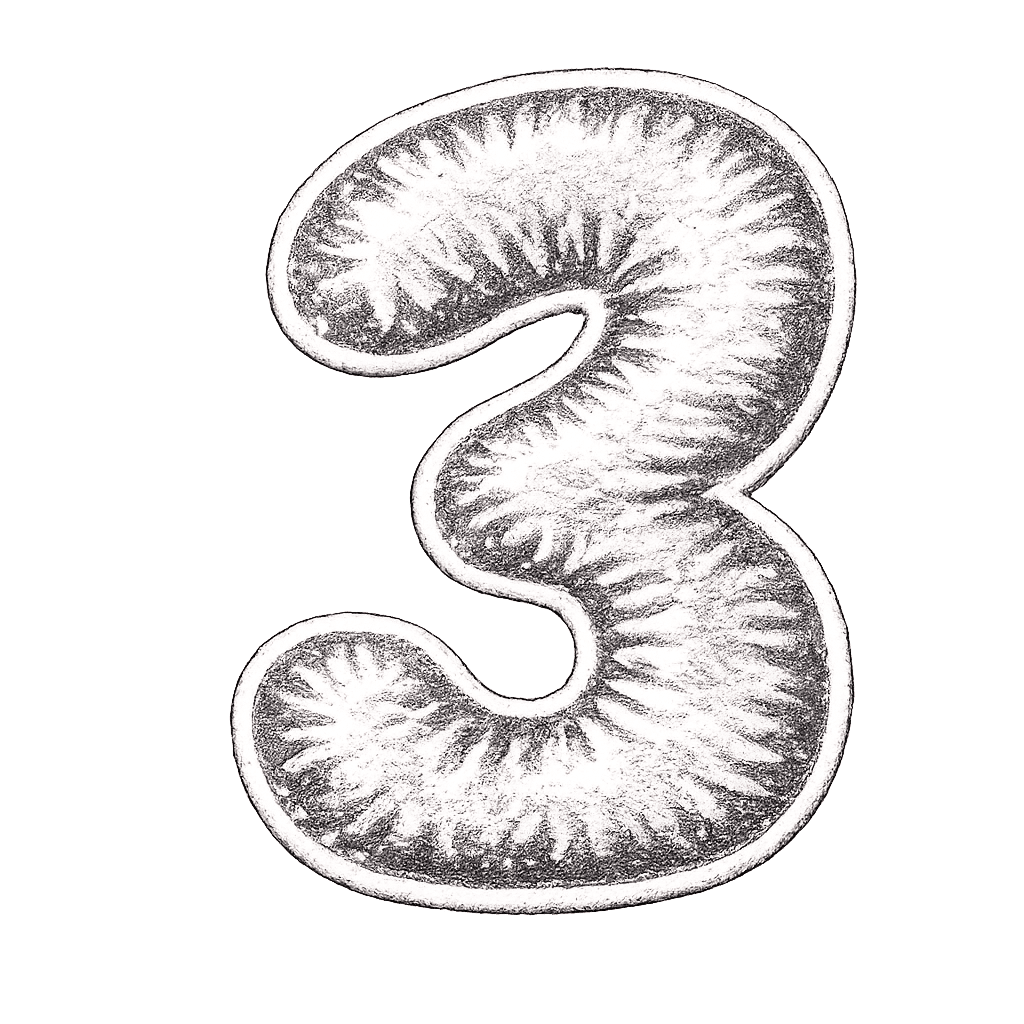 3